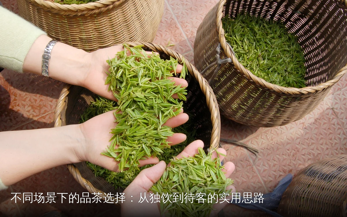 不同场景下的品茶选择:从独饮到待客的实用思路